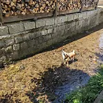 H2 - Urlaubsmagie - Garten, Pool, Terrasse, Grill